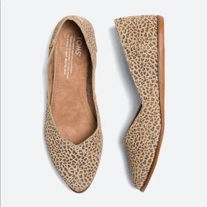 [TOMS] Jutti Animal Leopard Print Suede Leather Pointed Toe Flats Size 10
